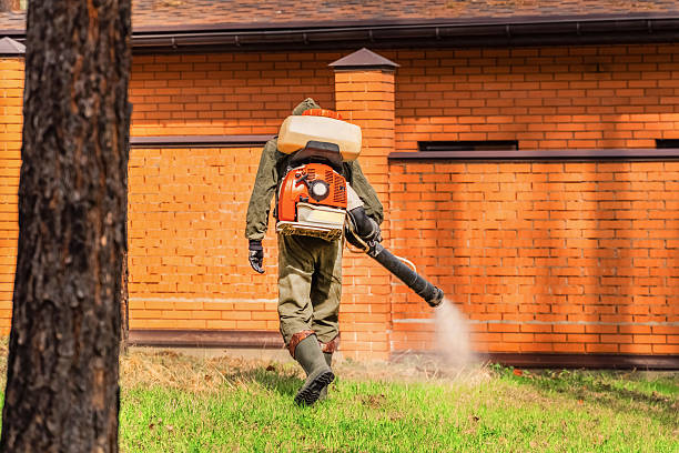 Trusted Cockroach Control service in Chadds Ford, PA - Nex Pest Control